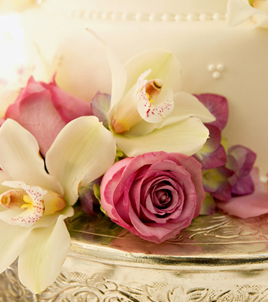 esküvői videó, cinematográfia